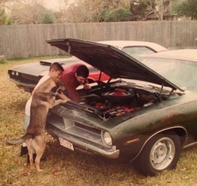 4fc4e50c74b59e48dce28a2356354bd2.jpg (106.09 KiB) 17365 mal betrachtet 4fc4e50c74b59e48dce28a2356354bd2.jpg